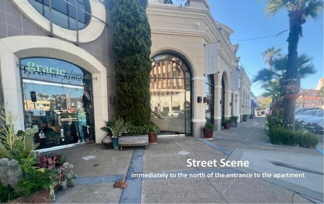 Photo - 7920 Herschel Ave Unidad Penthouse #35