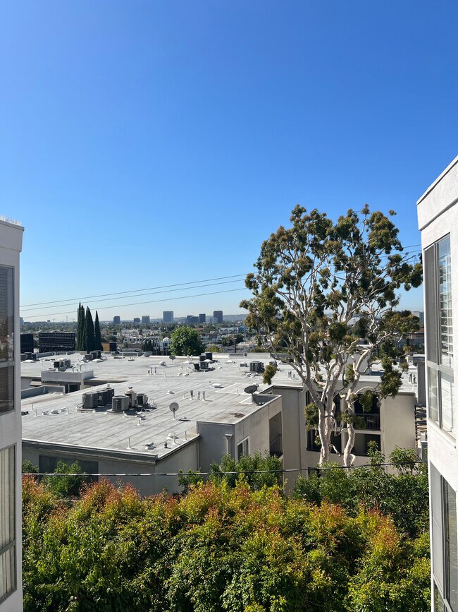 The View