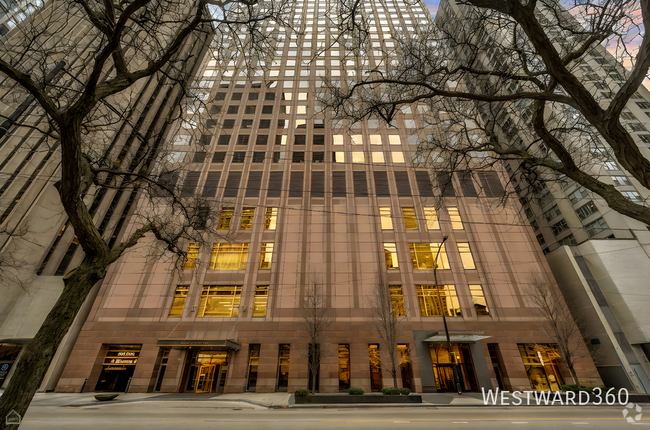 Building Photo - 161 E Chicago-49B Unit 49B Rental
