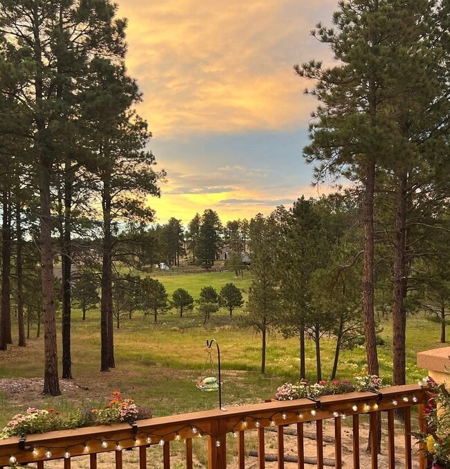 Photo - 6980 Wildridge Rd