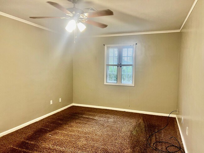 Photo - Available Now!!