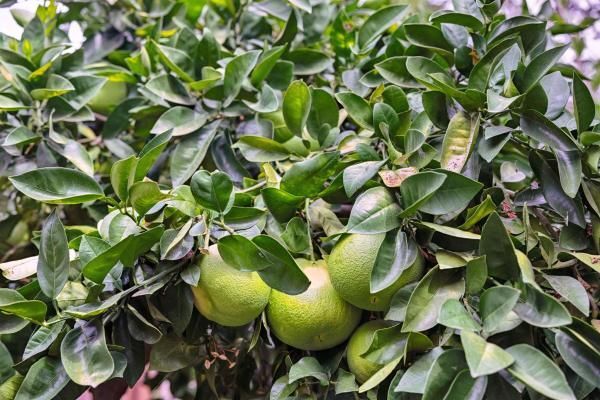 Photo - 14 Stadium Way