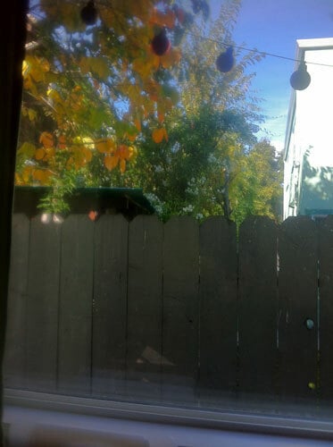 Photo - 2909 King St