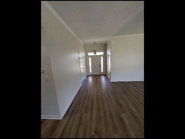 Photo - 2310 Kellybrook Ct