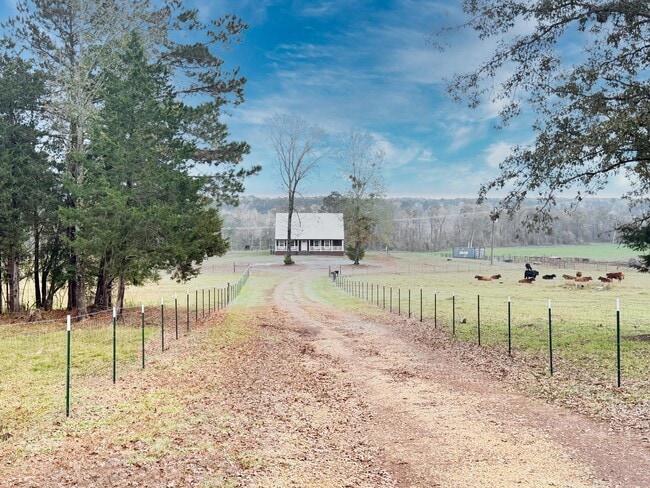 Photo - 3 Bed 2 Bath Home in Simsboro