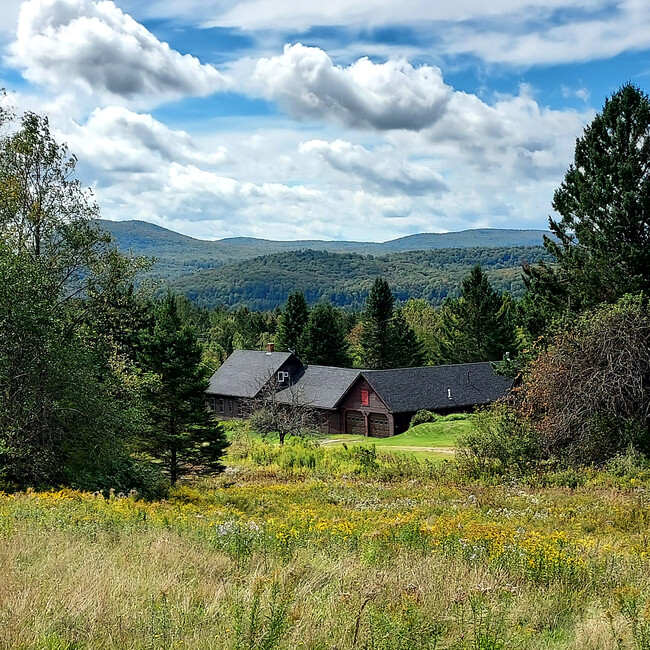 Summer, view from field - 1101 Heights Rd House