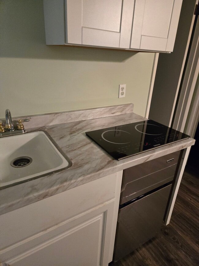 Kitchenette: 2 burner counter top and refrigerator - 1660 266th St