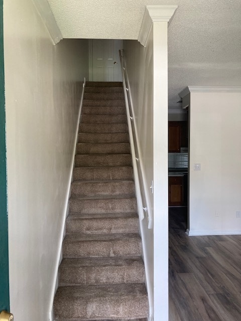 Photo - 509 University Dr