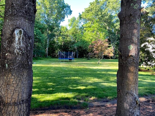 Photo - 15 Winchester Dr