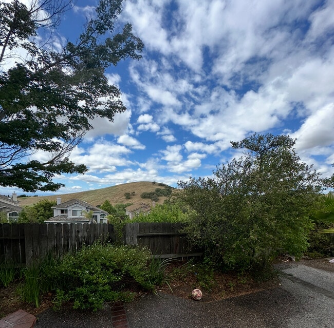 Photo - 3121 Sonoma Valley Dr