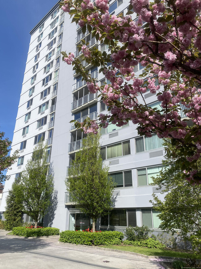 Photo - 1 Strawberry Hill Ave Unit APT 4H