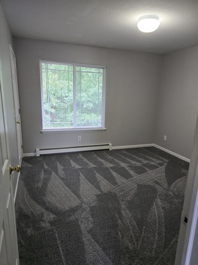 Photo - Manitou Woods