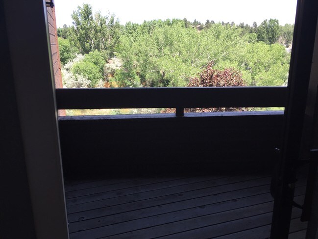 patio/balcony view - 128 W Rockrimmon Blvd Unidad 203