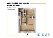 One bedroom one bath