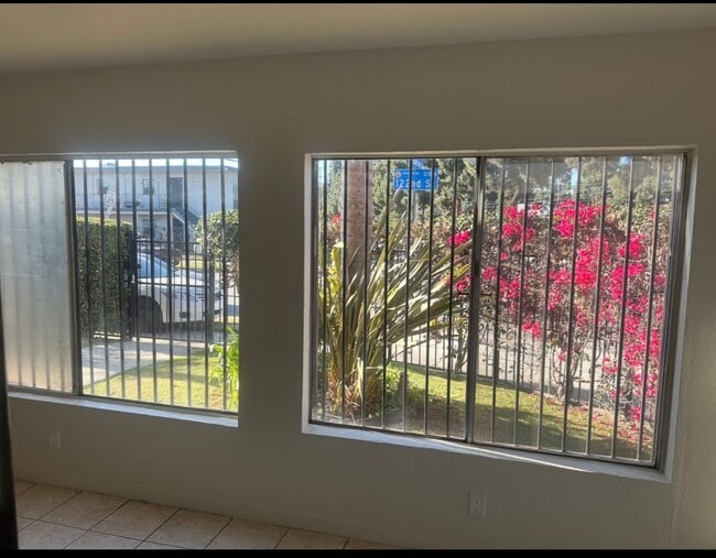 Living/dining area windows/view