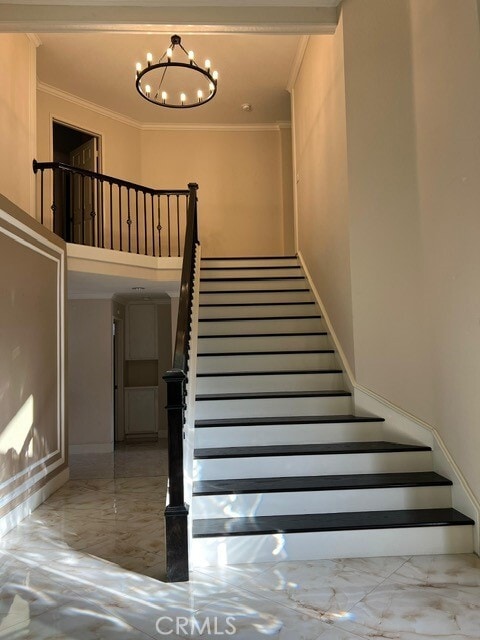 Photo - 9 Sarracenia