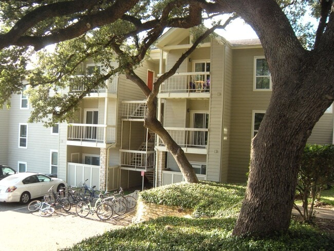 Building Photo - Hyde Park Oaks 206 - 1 Bed 1 Bath