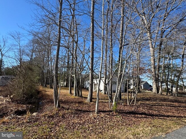 Building Photo - 37145 E Whitetail Dr