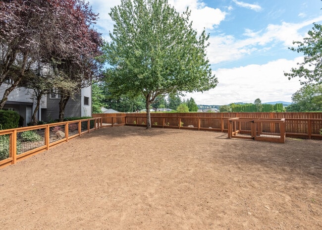 Photo - Mountain Meadows