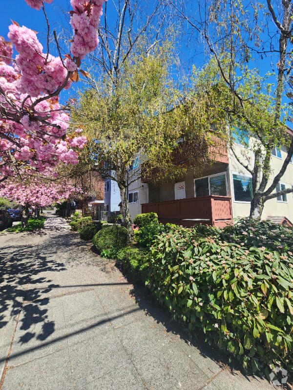 Building Photo - 6402 14th Ave NW Rental