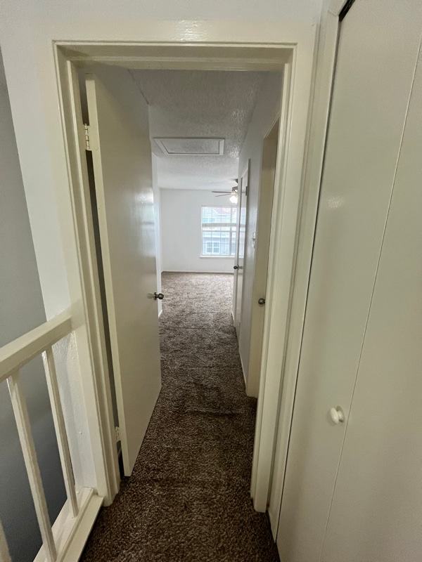 Photo - 1812 Gary's Park St