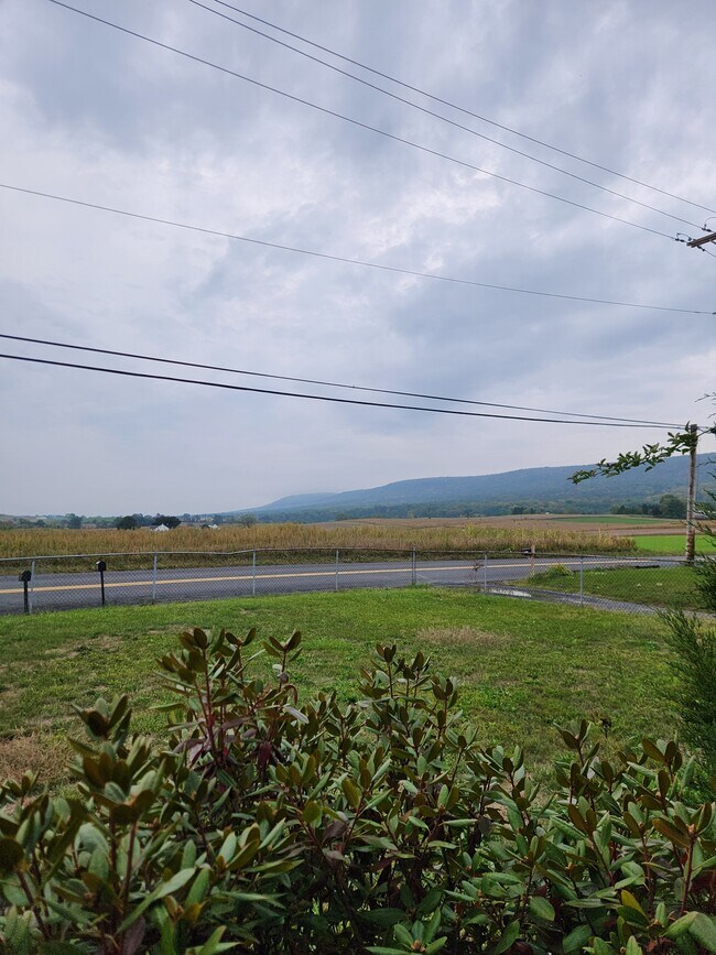 Photo - 1808 Mountain Rd