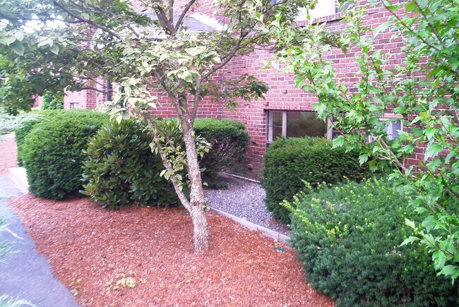 Photo - 23 Spencer Rd Unidad 12F