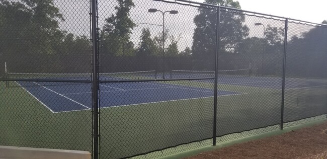 Tennis courts - 4060 Bluff Creek Dr House