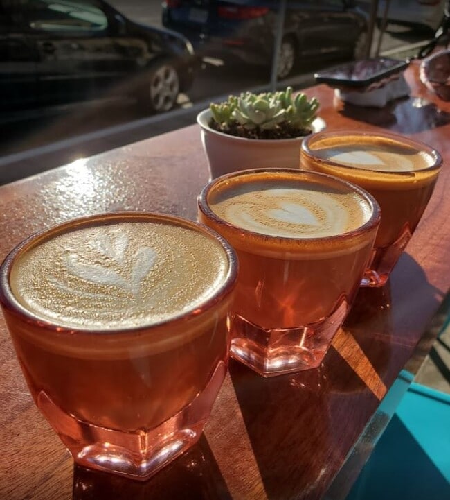 Dark Horse Coffee Roasters, Cafe On-Site