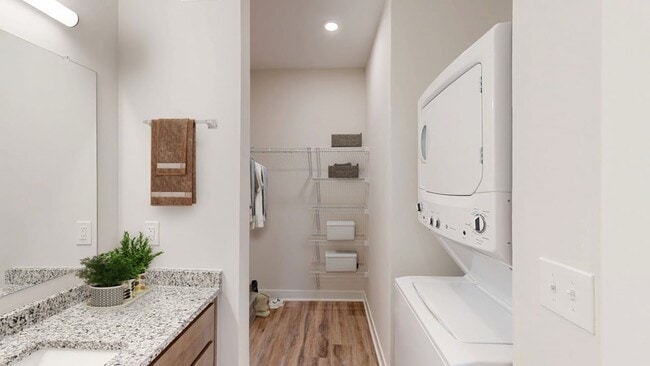 Trace Quarter - 0B - 2_final Large - Trace Quarter