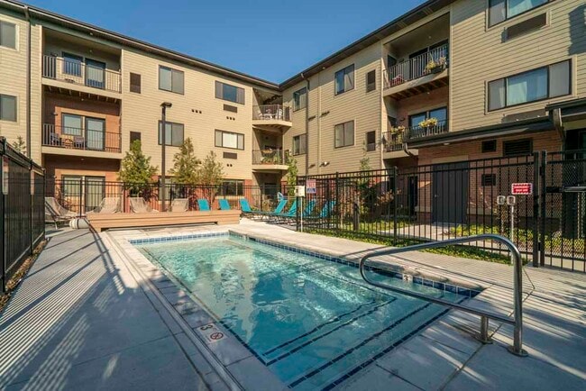 Dive into relaxation at our sparkling cocktail pool. - The Conrad Apartments