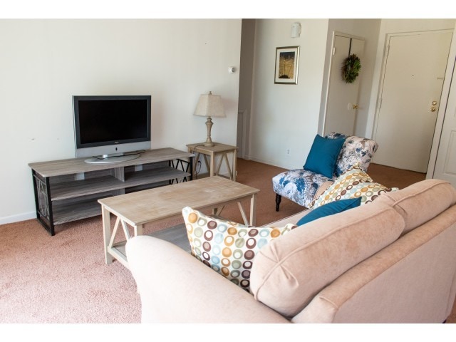 Sample Living Room