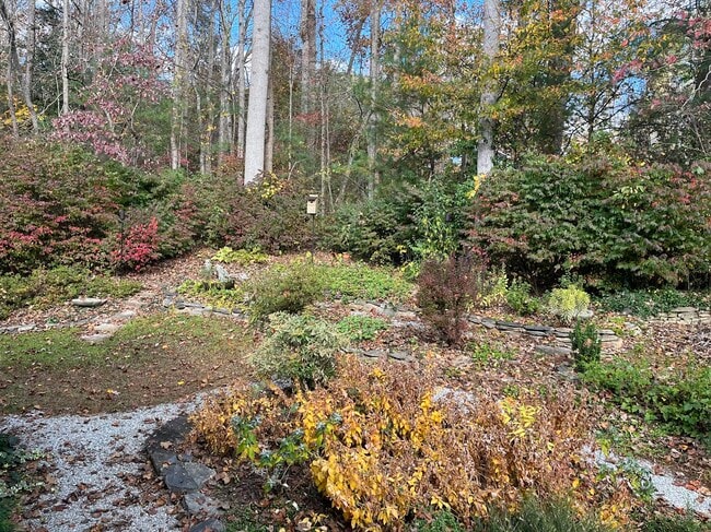 Photo - 115 Whitewater Dr