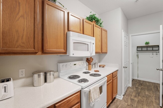 Photo - Majestic Oaks