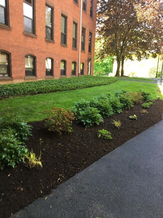 Photo - Florence Mill