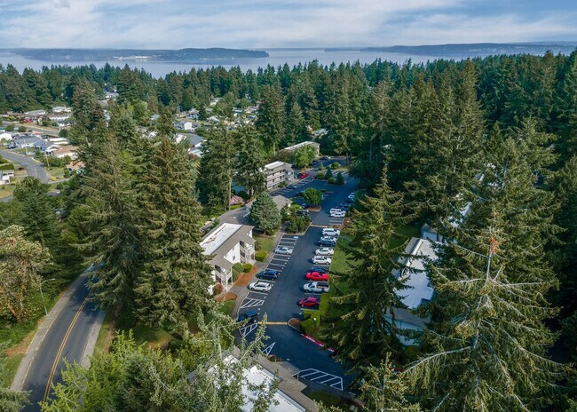 Steilacoom Woods