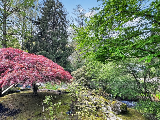 Photo - 5701 SW Hamilton St