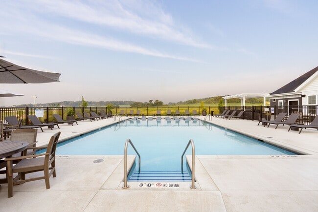 Apex at Verona Resort Style Pool
