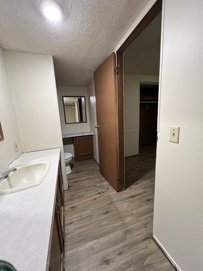 Photo - Magnolia #03