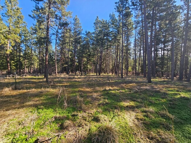 Photo - 66955 End Rd