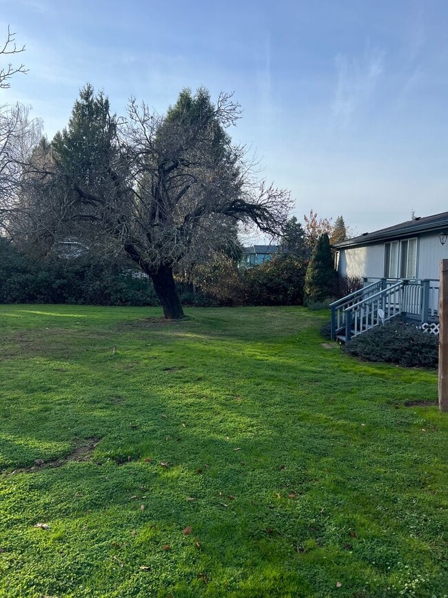 Photo - 1290-1290 Fruitdale Dr Unit 1280