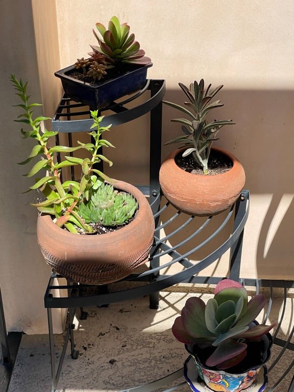 Photo - 1949 Parnell Ave