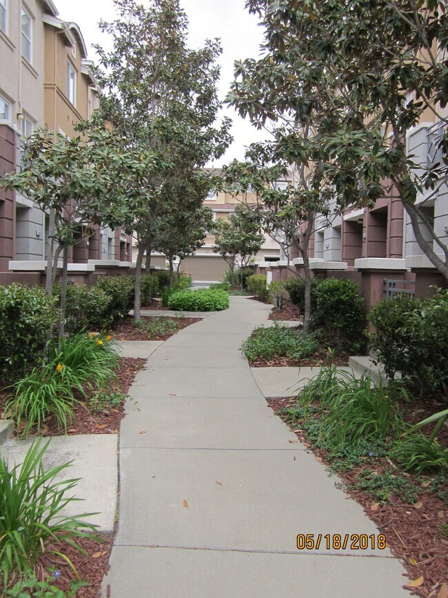 716 City Walk Pl