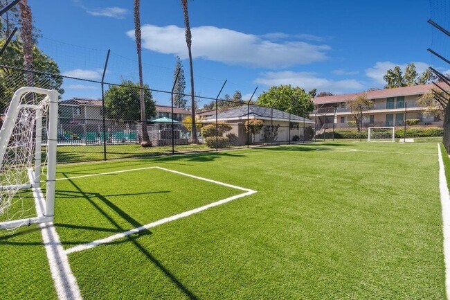 Soccer Field