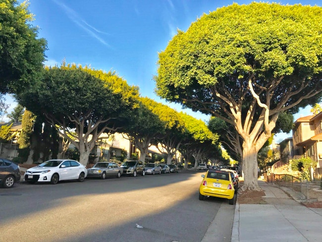 Photo - 2300 Oak St Unit 2-B2