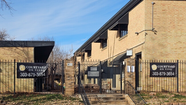 Courtyard on Vine - Courtyard on Vine