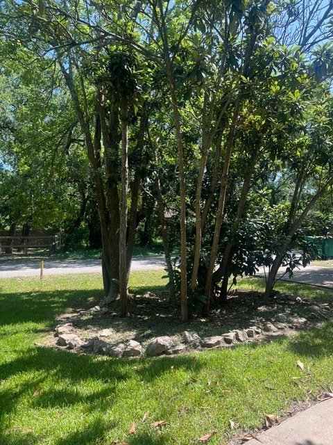 Photo - 1910 Oaklawn Dr
