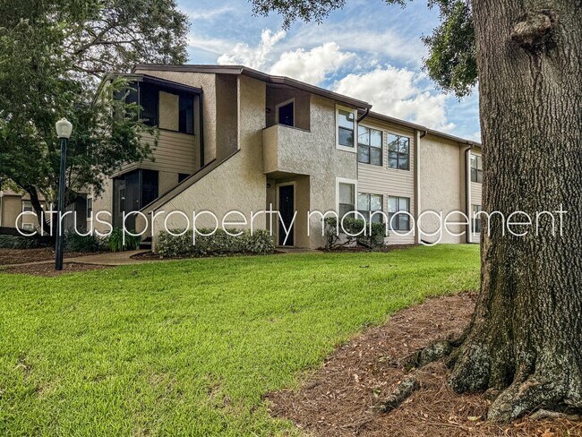 Photo - Winter Park 2/2 Condo in Charming Parkview... Unit 79