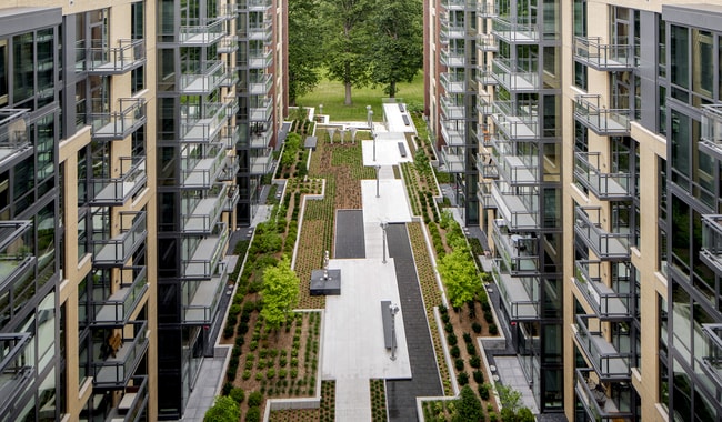 Central courtyard seamlessly integrates with nature