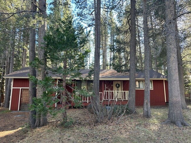 Building Photo - Hidden Gem in Peaceful Forest Setting- Pet...